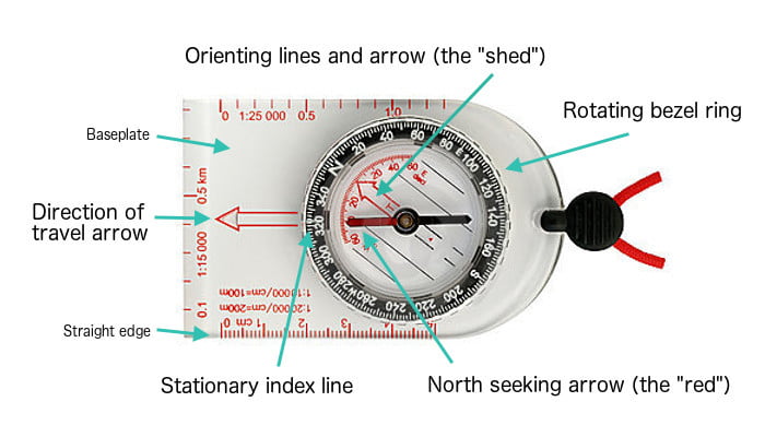 Parts of a compass for survival prepping