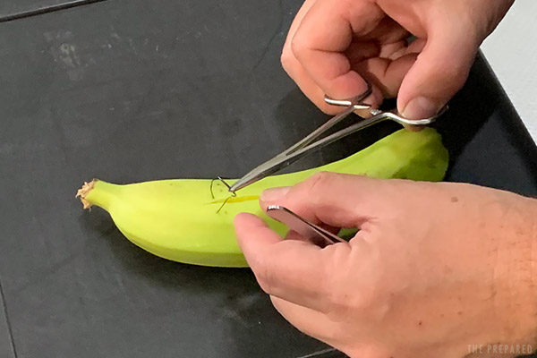 practice suturing