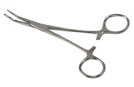 Briggs Precision Kelly Forceps