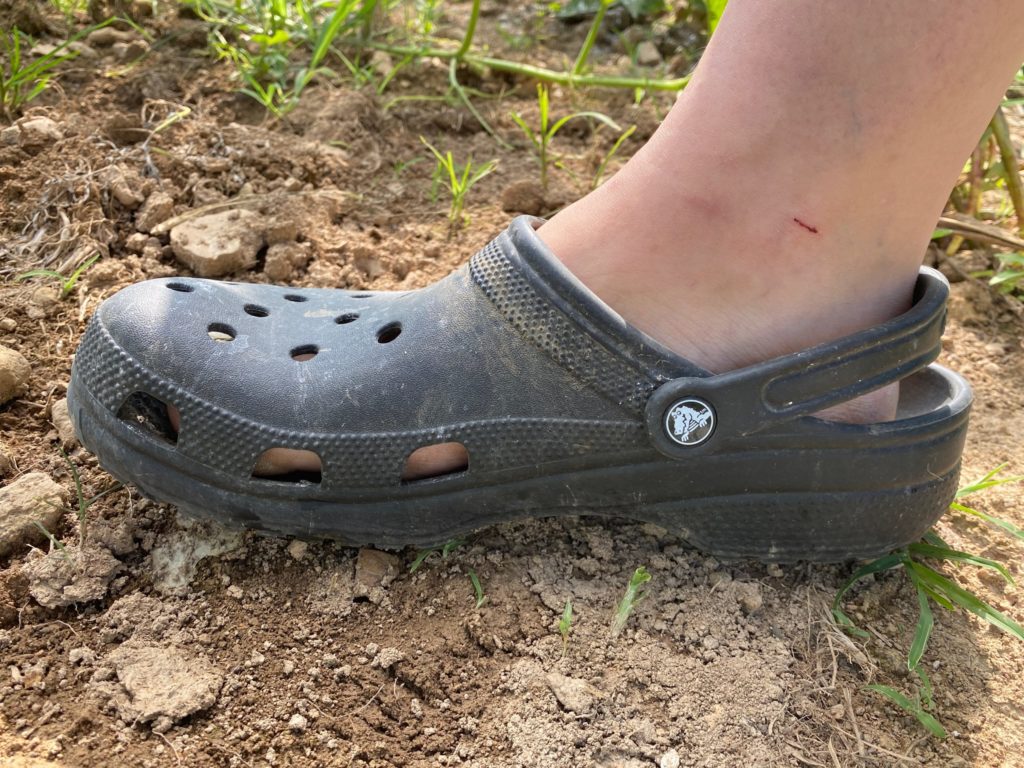 Crocs in 4WD mode