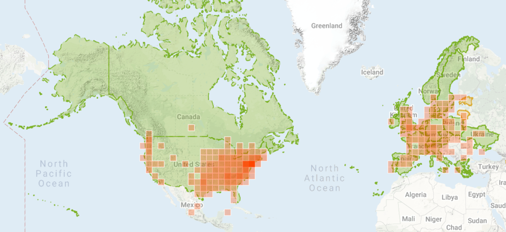 Field garlic map