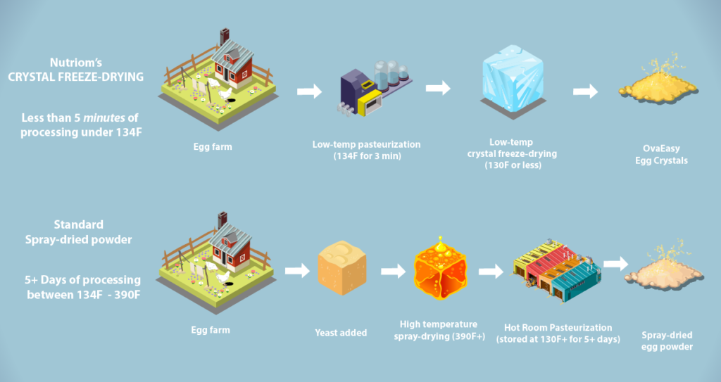 How OvaEasy eggs are made