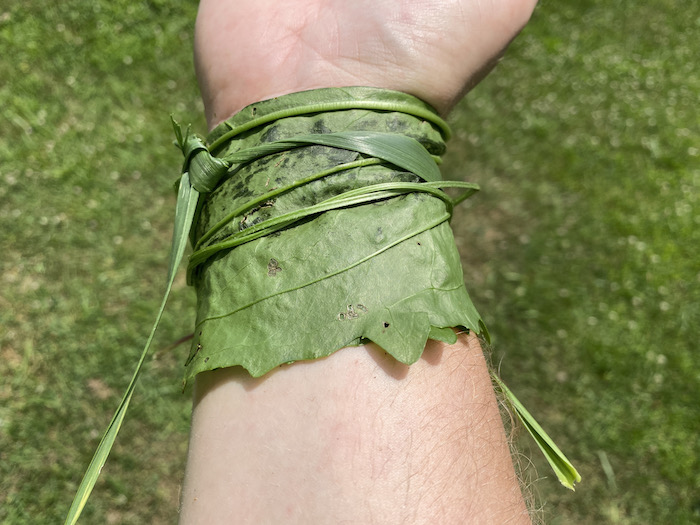 Plantain wrap over the poultice