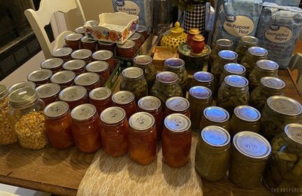 Beginner's guide to preserving food