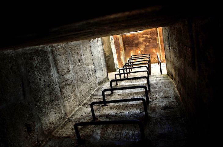 Ladder leading down to a bunker