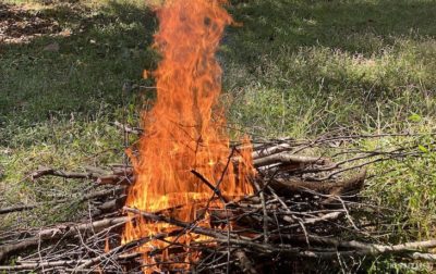 How to make leaf mulch and biochar