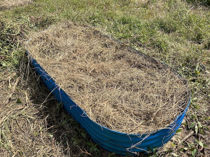 Mulched raised bed