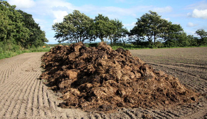 Is manure a hot commodity