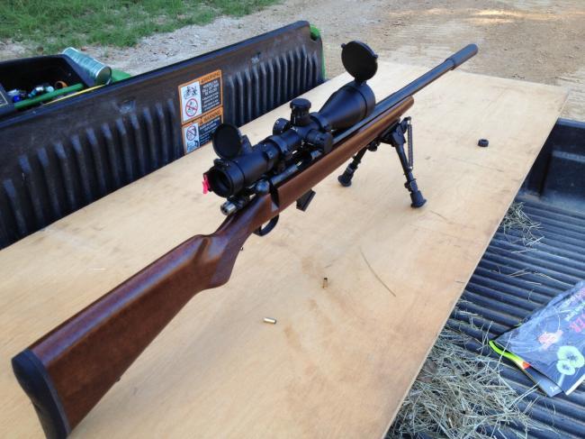 cz 455 Varmint