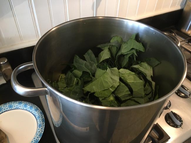 collards15