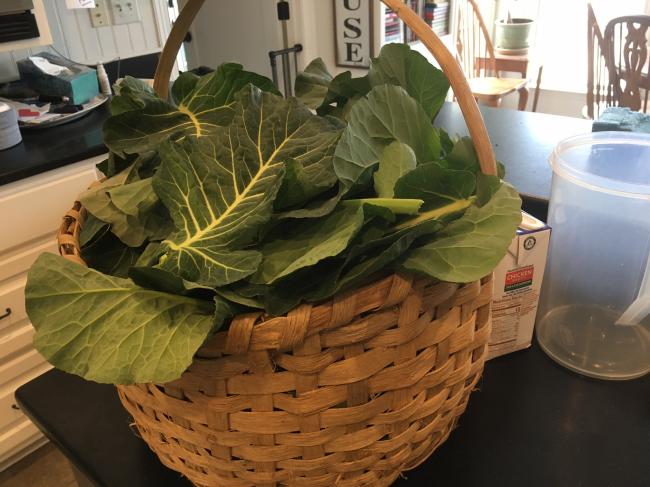 collards basket