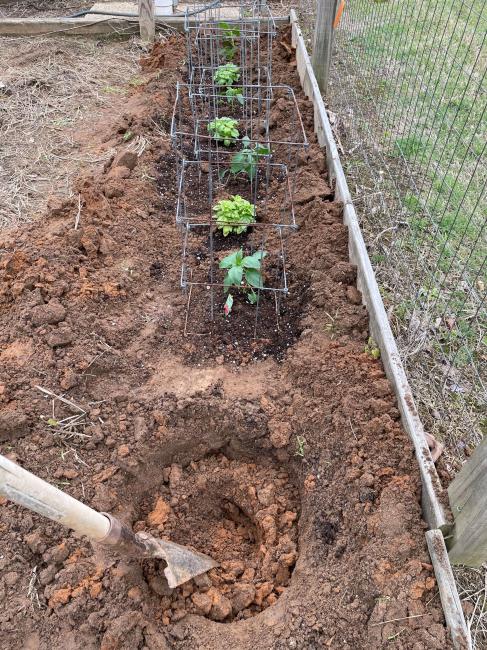 peppers4 small