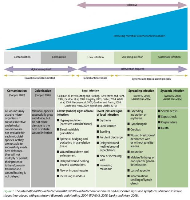 The International Wound Infection Institute’s Wound Infection Continuum and associated signs and symptoms of wound infection stages