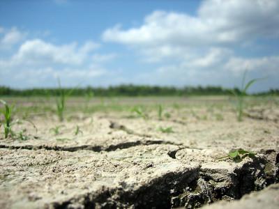 drought-dasroofless-flickr-cc-by-nc-nd-2011