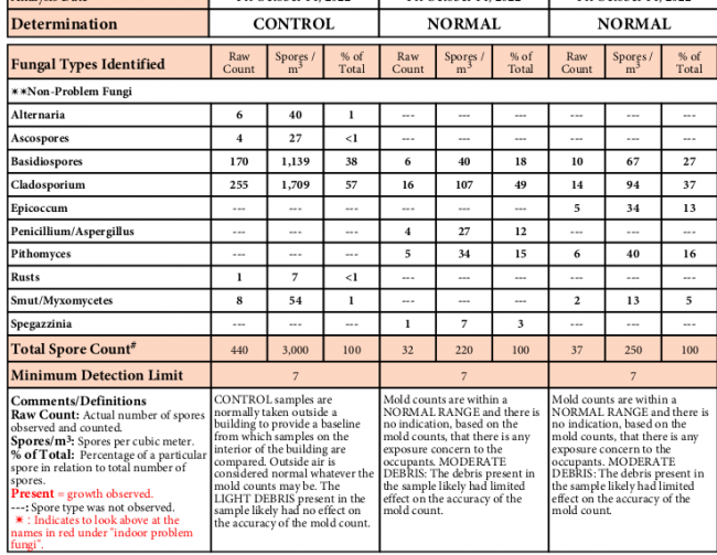 mold report